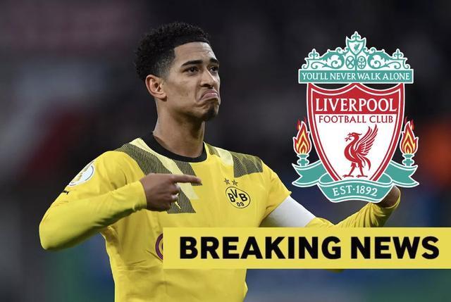 d体系与枪 d体系与枪